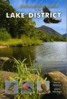 Birdwatching Walks in the Lake District