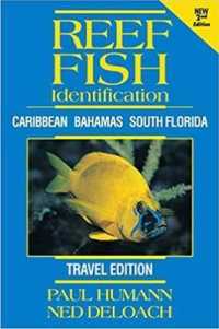 Reef Fish Identification -- Travel Edition : Caribbean Bahamas South Florida