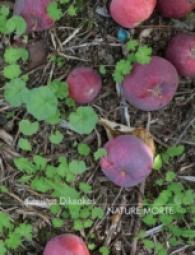 Christos Dikeakos : Nature Morte