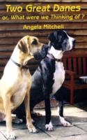 Two Great Danes : or What Were We Thinking Of?