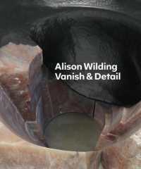 Alison Wilding: Vanish & Detail