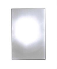 Zoe Leonard : Available Light