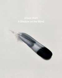 Alison Watt : A Shadow on the Blind