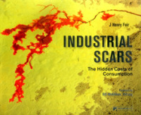 Industrial Scars : The Hidden Costs of Consumption