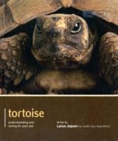 Tortoise - Pet Expert : Understanding and Caring for Your Pet (Pet Expert)