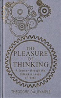 Pleasure of Thinking : A Journey through the Sideways Leaps of Ideas