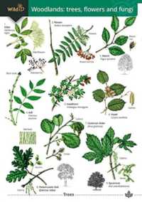 Woodlands: trees, flowers and fungi (Wildid)