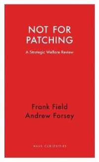 Not for Patching : A Strategic Welfare Review