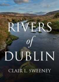 Rivers of Dublin