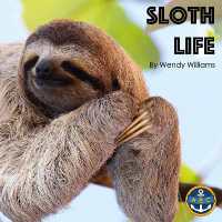 Sloth Life