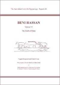 Beni Hassan VI. the Tomb of Khety (The Australian Centre for Egyptology: Reports)