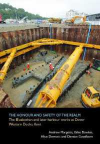 The honour and safety of the realm: the Elizabethan and later harbour works at Dover Western Docks, Kent (Spoilheap Monograph)