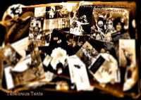 Texts from the Shadows