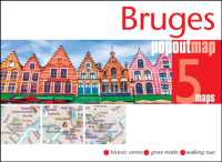 Bruges PopOut Map : Pocket size, pop-up map of Bruges (Popout Maps)