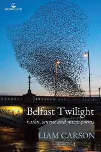Belfast Twilight