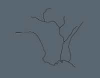 Rivers Run through It (Los Angeles: Landscapes of Four Ecologies)