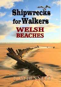 Shipwrecks for Walkers WELSH BEACHES