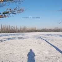 ANON : PHOTOGRAPHY AS QUESTIONING