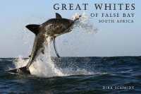 Great Whites of False Bay -- South Africa