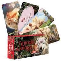 Animal Guides (Rockpool Mini Cards)