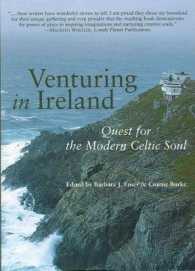 Venturing in Ireland : Quests for the Modern Celtic Soul