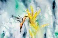 Morning Nectar Notecards