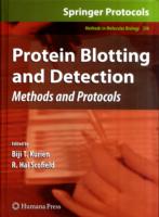 Protein Blotting and Detection : Methods and Protocols (Methods in Molecular Biology) 〈Vol. 536〉