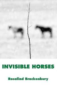 Invisible Horses