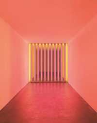 Dan Flavin : Corners, Barriers and Corridors