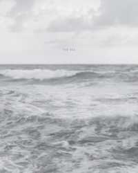 Barbara Bosworth: the Sea -- Hardback