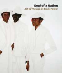 Soul of a Nation : Art in the Age of Black Power