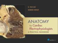 Anatomy for Cardiac Electrophysiologists : A Practical Handbook