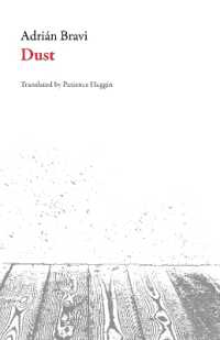 Dust (Ita Italian Literature Series)