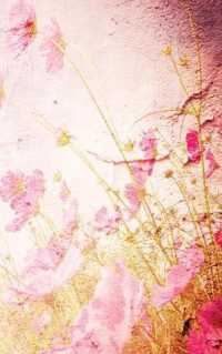 A Line a Day Journal : Five-Year Journal and Memory Book, Watercolor Floral