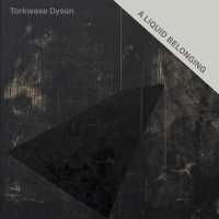 Torkwase Dyson: a Liquid Belonging