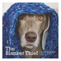 The Blanket Thief