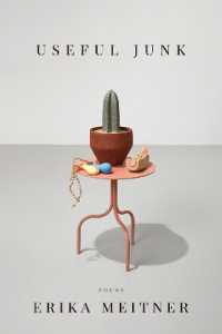 Useful Junk (American Poets Continuum Series)
