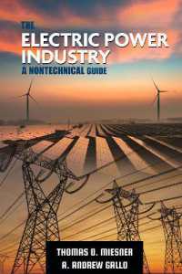 The Electric Power Industry : A Nontechnical Guide