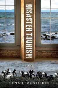 Disaster Tourism
