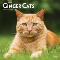 Ginger Cats 2019 Calendar （16M WAL）