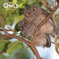 Owls 2020 Mini Wall Calendar