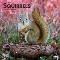 Squirrels 2020 Mini Wall Calendar