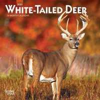 White Tailed Deer 2020 Mini Wall Calendar