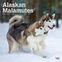 Alaskan Malamutes 2020 Square Wall Calendar