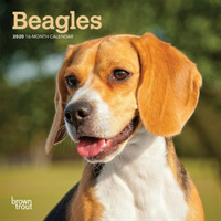 Beagles 2020 Mini Wall Calendar
