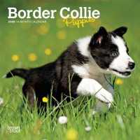 Border Collie Puppies 2020 Mini Wall Calendar