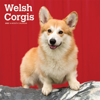 Welsh Corgis 2020 Calendar （16M WAL）