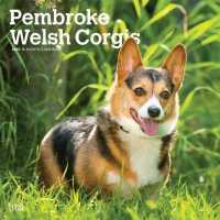 Pembroke Welsh Corgis 2020 Calendar （16M WAL）