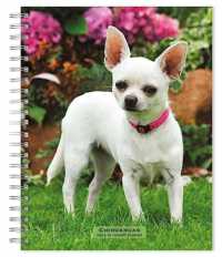Chihuahuas 2024 Engagement -- Paperback