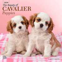 Cavalier King Charles Spaniel Puppies Th -- Paperback